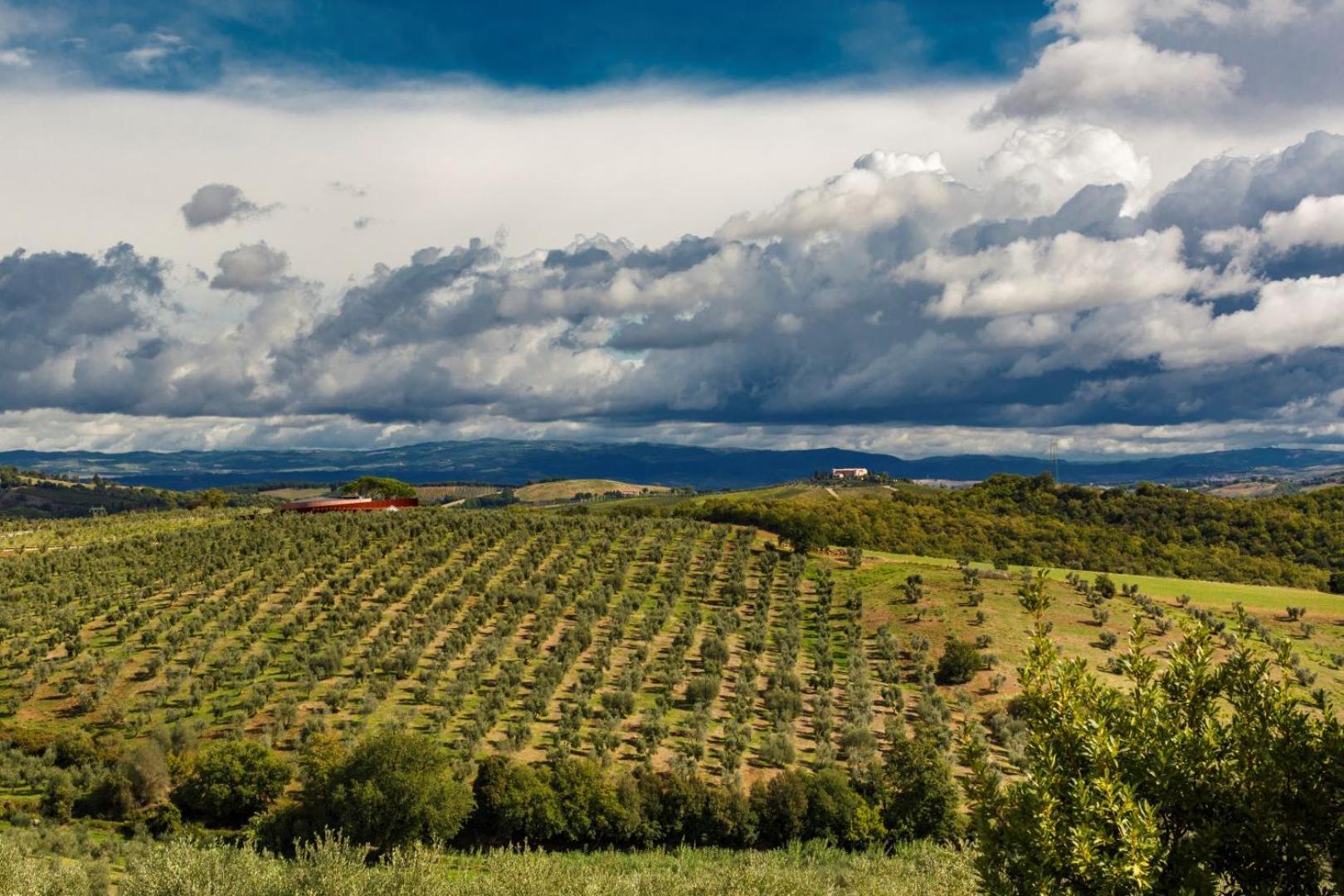 Tenuta Di Montecucco - Collemassari Hospitality Cinigiano Exteriér fotografie