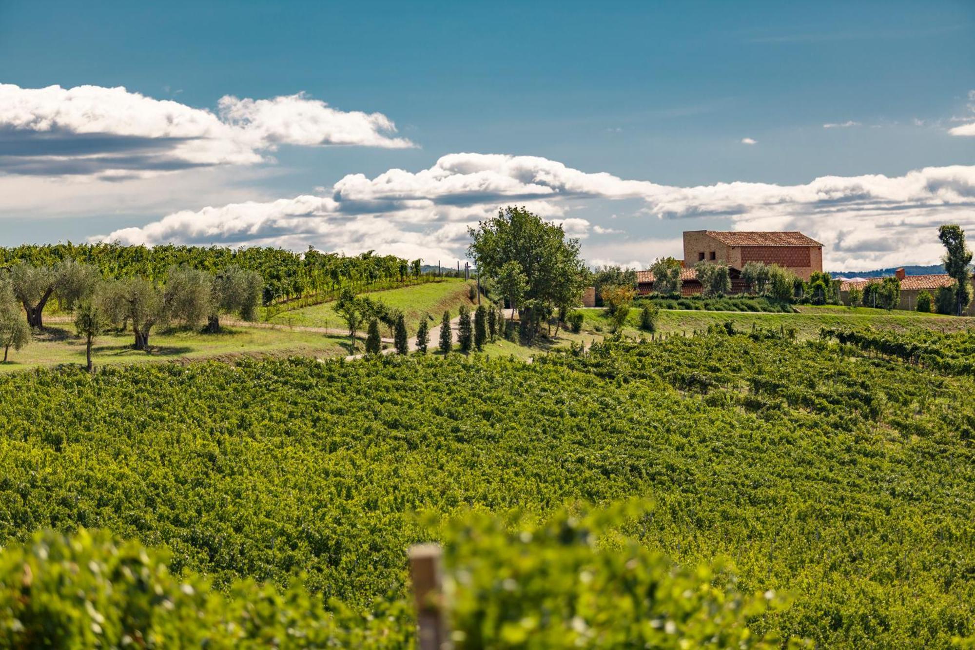 Tenuta Di Montecucco - Collemassari Hospitality Cinigiano Exteriér fotografie