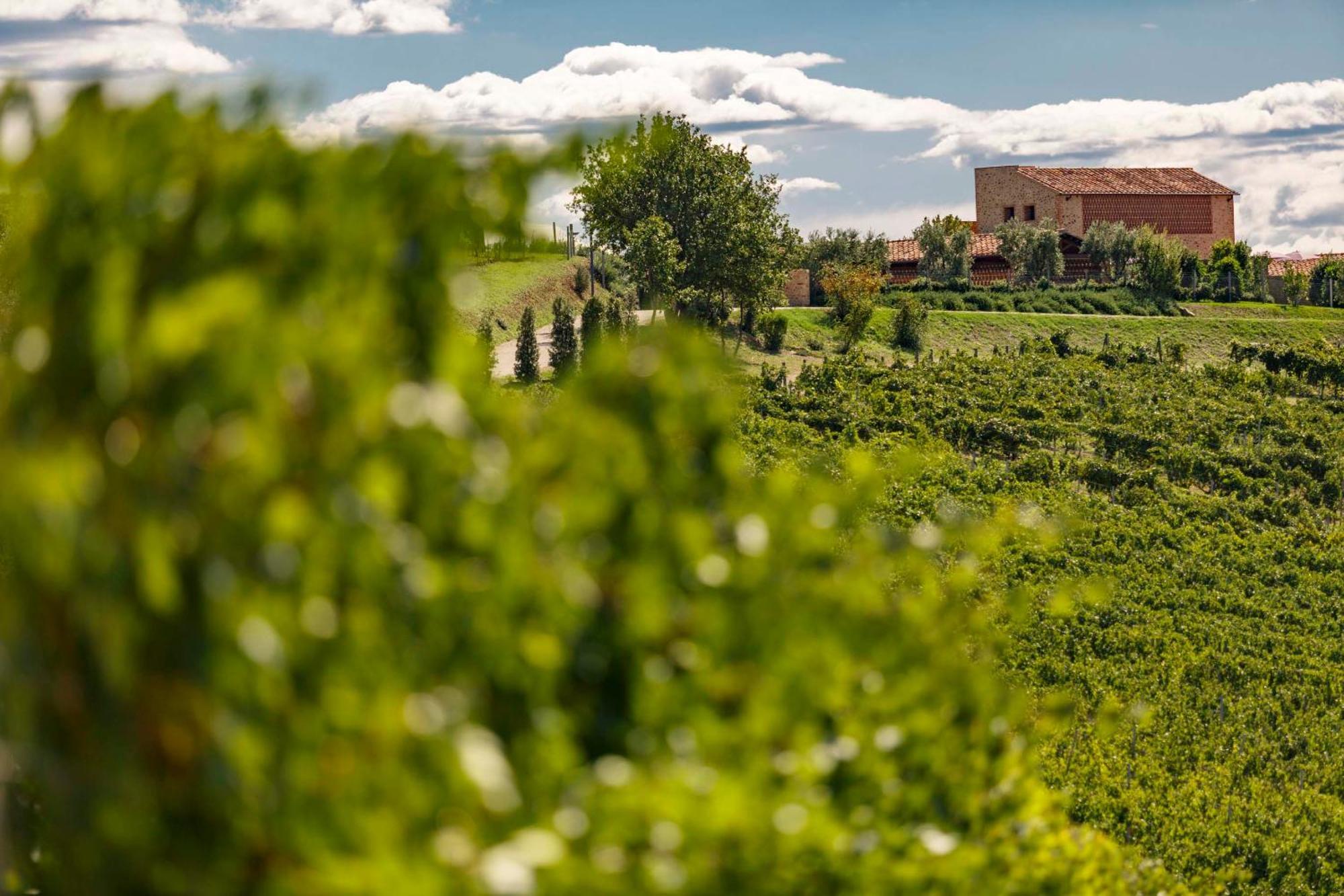Tenuta Di Montecucco - Collemassari Hospitality Cinigiano Exteriér fotografie